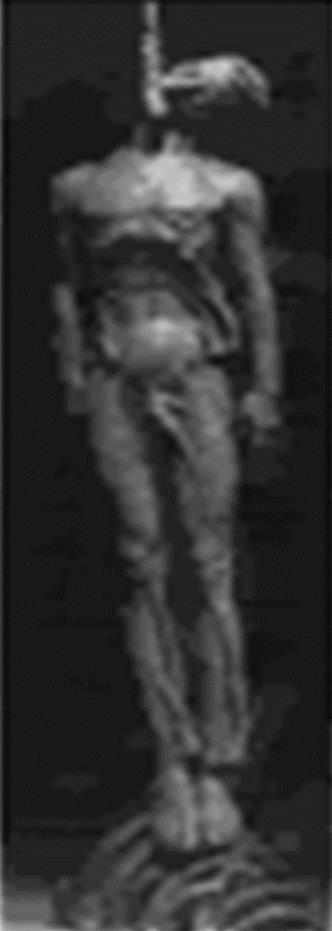 A blurry image of a person

Description automatically generated